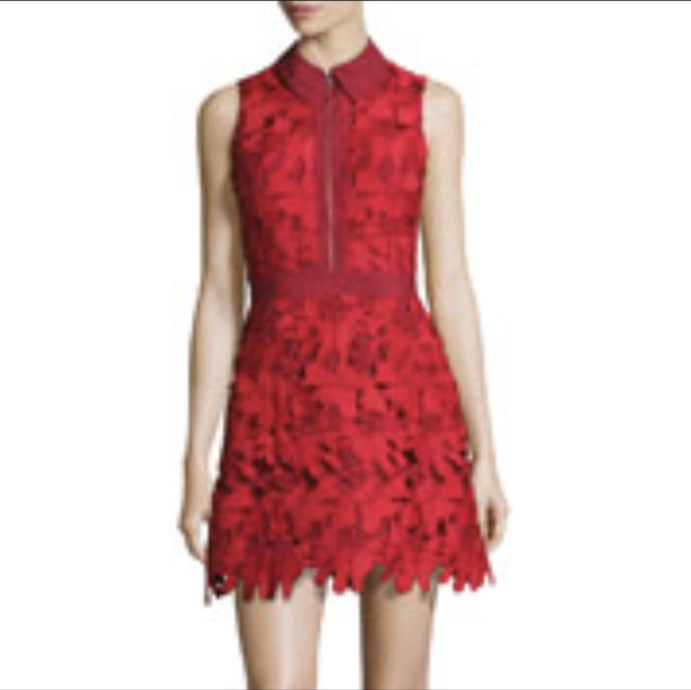 Alice + Olivia dress 4